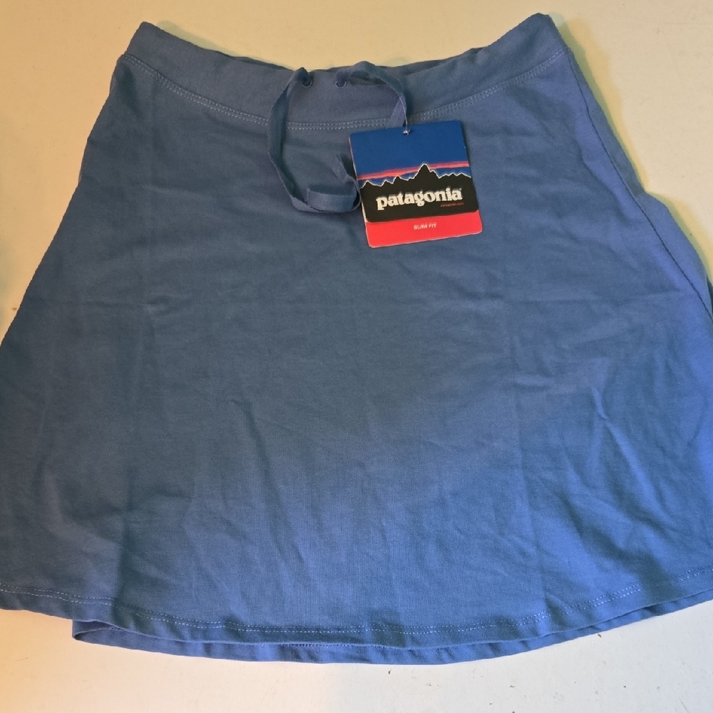 Patagonia Women's Sky Blue A-Line Skirt